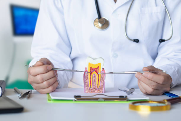 Best Emergency Treatment for Toothache in Heber, UT